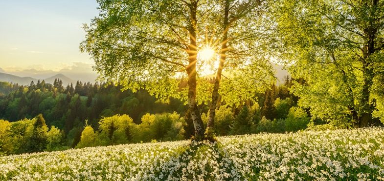 Liebe Patientinnen und Patenten, ich wünsche Ihnen und ihren Lieben frohe Weihnachten und eine gesundes Jahr 2025. Für Terminversinbarungen ab Januar 2025, erreichen Sie mich wie gewohnt telefonisch oder per Mail. Ihre Nadja Corvaglia